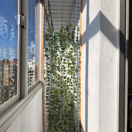 بيت ضيافة Coliving Lopez لاس بالماس دي غران كاناريا